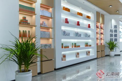 解锁资源经济发展新密码 云南屏边县引进发展天然虾青素大健康产业纪实